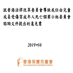 就香港法律改革委員會導致或任由兒童或易受傷害成年人死亡個案小組委員會諮詢文件提出的意見書
